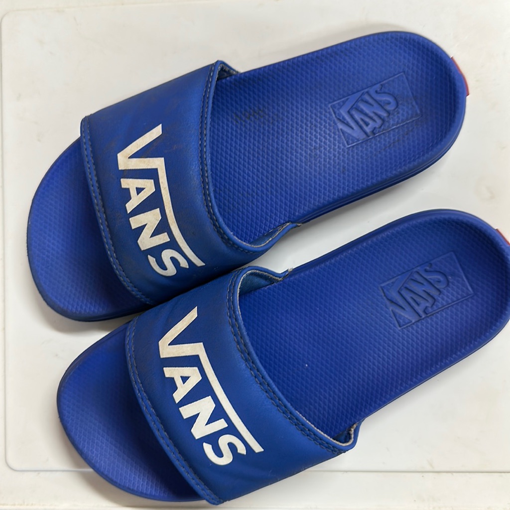 Vans Slides